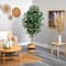 6ft. Ficus Artificial Tree with Natural Trunk in Handmade Natural Cotton Planter